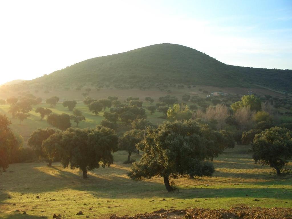 Cortijo El Criadero El Hoyo Quarto foto